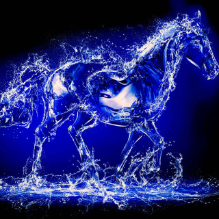 Horse water blue black white - the water free wallpaper for tablet