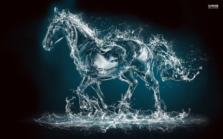 Horse water splash woman face - a womans face free wallpaper