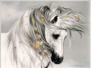 White horse flowers long hair - majestic free wallpaper