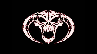 Black white skull large photo - metal free wallpaper