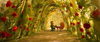 Man riding horse flower tunnel - red flower free wallpaper