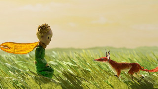 Little boy field fox bird - a little boy free wallpaper
