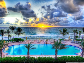 Large swimming pool beach palm 2 - palm tree and a sunset in the background free wallpaper