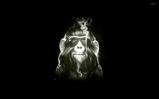 Monkey glasses cigarette smoking dark - alex petruk ape free wallpaper