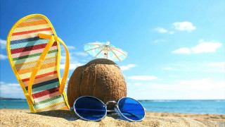 Coconut sunglasses beach umbrella summer - summer free wallpaper for desktop