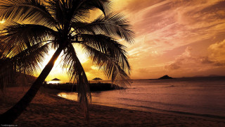 Palm tree beach sunset island 4 - a small island in the distance free wallpaper