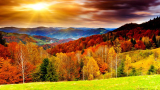 Mountain range trees sunset sunbeam 2 - a sunbeam free wallpaper