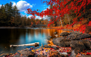 Lake trees rocks bridge leaves - beautiful free wallpaper