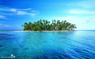 Small island palm trees ocean 4 - a small island free wallpaper