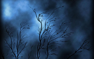 Tree branch dark sky clouds - dark atmosphere free wallpaper