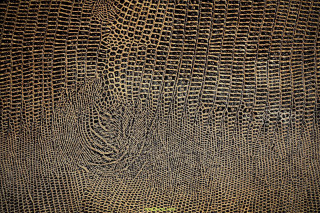 Close up textured surface green - texture free wallpaper for desktop
