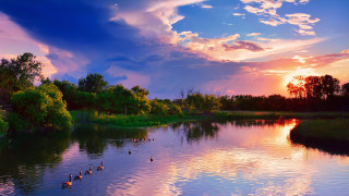 Sunset lake ducks trees background - a sunset over a lake free wallpaper for desktop