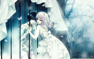 Couple fence veil butterfly hair - a veil free wallpaper