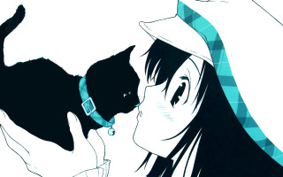 Woman cat hat shoulder vanitas - her head and a cat free wallpaper