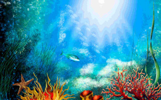 Coral reef fish starfish sunbeam - game art free wallpaper