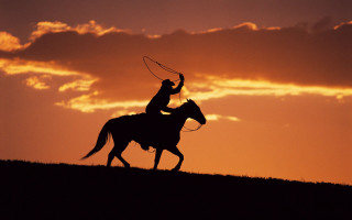 Man horse lasso sunset dawn - ancell stronach free wallpaper