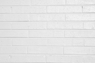 White brick wall cat minimalist - a white brick wall free wallpaper for desktop