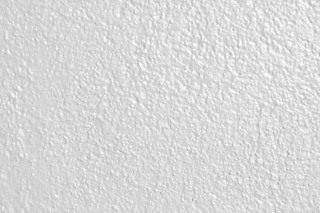 White wall black white cat 2 - paper texture free wallpaper