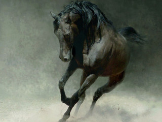 Horse running dust front legs 2 - majestic free wallpaper