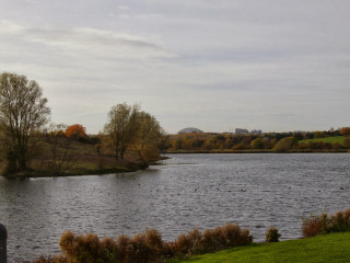 Fall water trees grass cloudy - alexander stirling calder free wallpaper