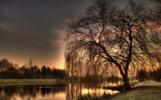 Tree grass water sunset dawn - anton graff free wallpaper for desktop