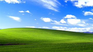 Green field blue sky hill - a few tree free wallpaper