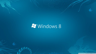 Blue background blue flower windows - 8k resolution free wallpaper