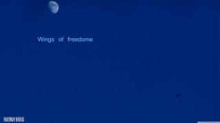 Bird moon sky flying quote - edward ruscha free wallpaper