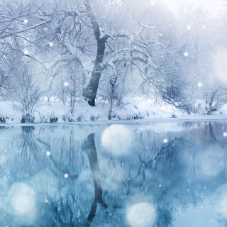 Snowy lake trees moon winter - free winter wallpaper for tablet