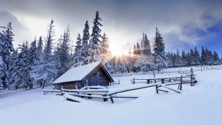 Cabin snowy field trees sunshine - the cloud free wallpaper