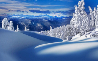 Snowy mountain trees background blue 7 - beautiful landscape free wallpaper