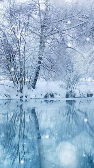 Snowy scene pond trees forest - free winter wallpaper for mobile