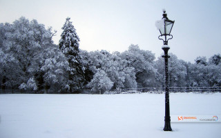 Street light snowy field trees - in the foreground free wallpaper