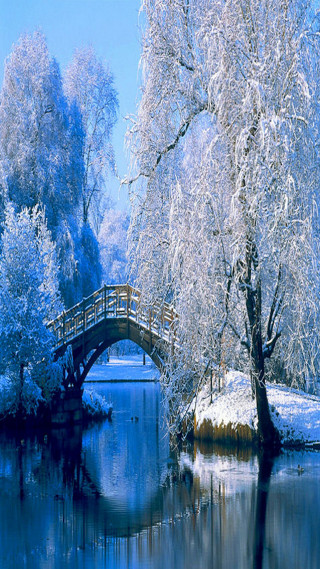 Bridge river snow covered tree 4 - free winter wallpaper for mobile