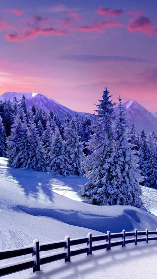 Snowy landscape fence trees pink - free winter wallpaper for mobile