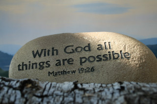 Stone bible verse tree stump - a tree stump free wallpaper