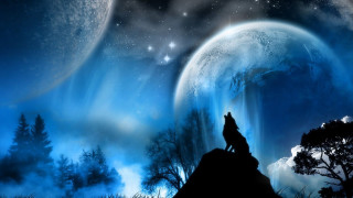 Wolf hill moon stars sky 5 - the moon free wallpaper