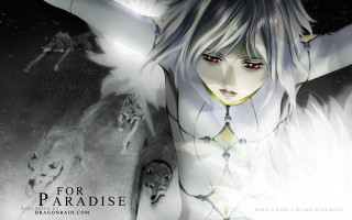 White hair red eyes wolf - a wolf free wallpaper