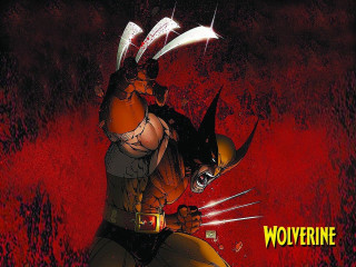Wolverine character claws head chest - claw free wallpaper