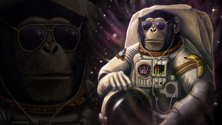 Monkey space suit sunglasses astronaut - sunglass free wallpaper