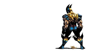 Man wolverine costume armor muscular - brom free wallpaper for desktop