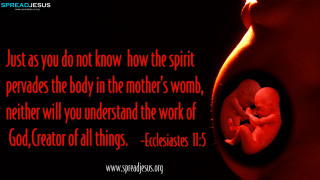Fetus quote spirit body mother - esaias boursse free wallpaper