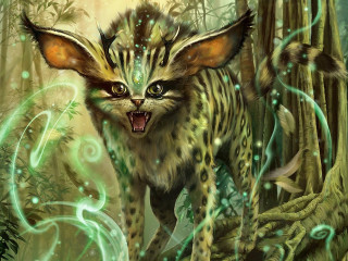 Cat weird face woods snake - a weird face free wallpaper
