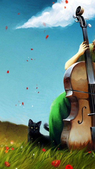 Woman cello field flowers black - great composition free wallpaper