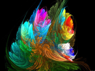 Multicolored abstract flower black background 2 - an abstract painting free wallpaper for desktop