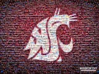 Washington state football team logo - temporary free wallpaper for desktop