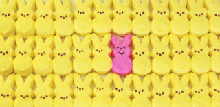 Pink bunny peeking yellow wall - assemblage free wallpaper