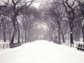 Snowy park benches trees winter - ashcan school free wallpaper