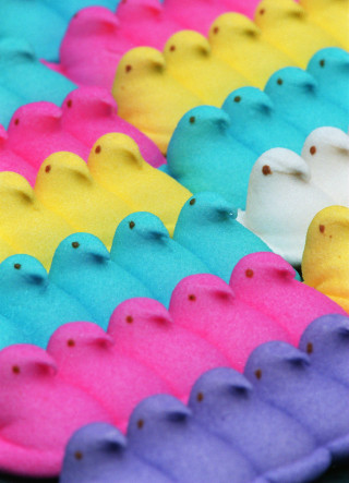 Rubber ducks colorful pink row - bert stern free wallpaper for mobile