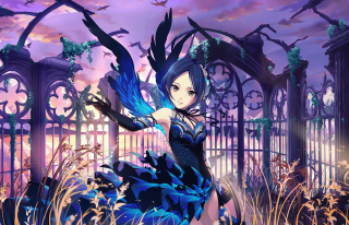 Girl blue dress gate bird - a gate free wallpaper